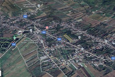 De vanzare | Teren 7566 mp | Bucsani | Dambovita - 3