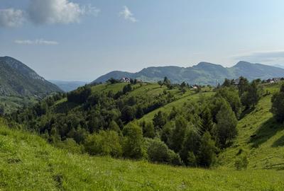 Teren superb intravilan  Pestera- Brasov, 11.908 mp - 6