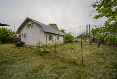 Tancabesti - Snagov Casa 3 camere Lot 1726MP! - 19
