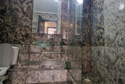 Lacul Tei -  Ripiceni - Apartament 2 camere - renovat - mobilat si utilat modern - 7
