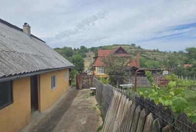 Casă cu teren 3.000 mp de vânzare, str. Adevărului-CV0529 - 21