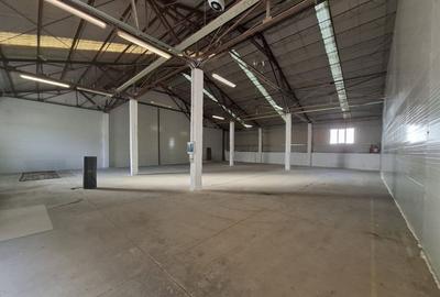 Hale renovate Calea Baciului / 2 x 530 mp / 3 x 400 mp - 2