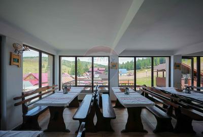 Oportunitate de investiție, Restaurantul Piatra Grăitoare,Vârtop,Bihor - 15