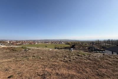 Teren Construcții intravilan de 5600 mp, în Cetate