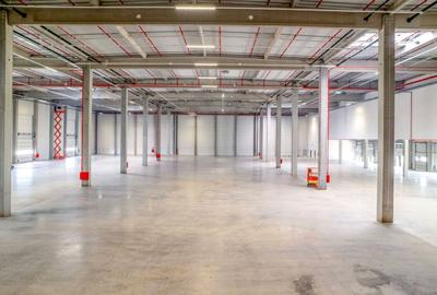 Spatii industriale de inchiriat in CTPark Oradea Cargo Terminal - 3
