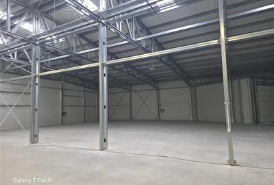Vanzare depozit/hala/spatiu industrial Mogosoaia - Buftea - 21