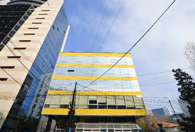 Romanitza Center, Victoriei, 200 - 800 mp  0% comision! - 11