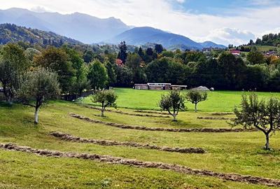 Teren superb de 16240mp, parcelabil, in Bran la intrare in Moeciu de Jos - 3