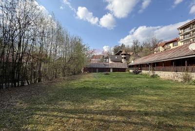 Teren cu potential investitional – Sovata, zona Lacul Ursu - 12