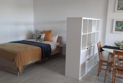 Garsonieră modernă de închiriat – Brâncuși / Drumul Taberei - 1