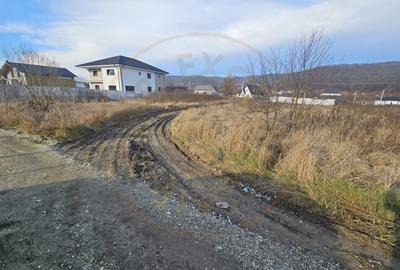 Teren 1.250 mp, toate utilitatile – Bascov, Valea Ursului, AG - 4