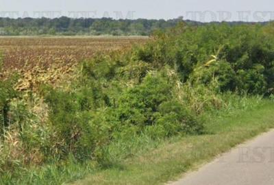 Vanzare teren cu pozitionare excelenta la A1, sensul Pitesti Bucuresti, aproape - 1