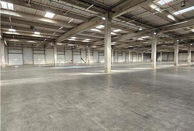 Spatiu Industrial - 1500 mp - Depozitare - Distributie - 14