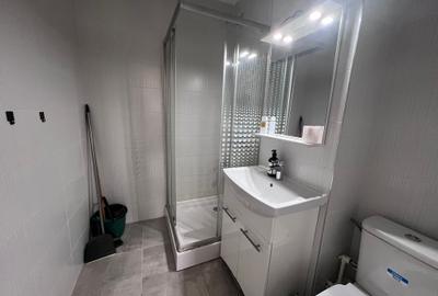 Apartament 2 camere,zona Minerului - 12