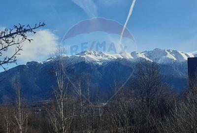 Teren 10,279 mp Bran- Predelut / Strada Pe Tarina nr. 70A - 10