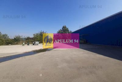 Spatiu Logistic langa Bucuresti Hala 5000 mp - 28