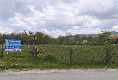 Teren mixt de vânzare Crasna Gorj, aproape de Rânca– 19.209 mp - 5