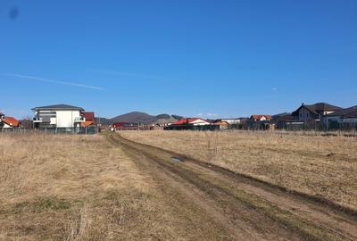 Teren rezidential Sanpetru – Brasov zona de case - 7