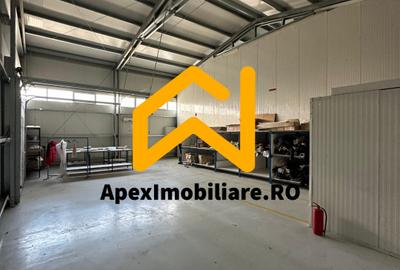 Spațiu comercial, de 550.00 mp, în Malu Roșu