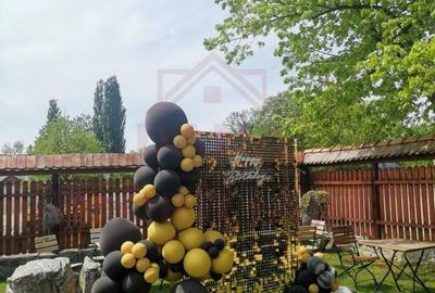 RESTAURANT DE VÂNZARE-COM. OBREJA\SAT IAZ\CARAȘ SEVERIN - 14
