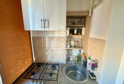 Aparament cu 3 camere, de vanzare, zona Lipovei, Timisoara - 12