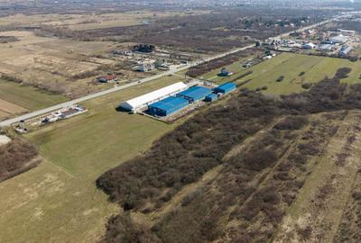 Teren extravilan de 7.000 mp lângă Păltiniș - 11