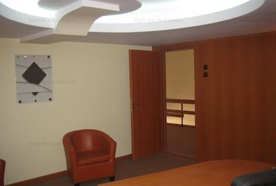 Oportunitate investitie! Hala cu birouri 600mp, stradal, zona centrala! - 12