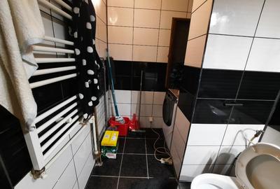 VANZARE 2 CAM BULEVARDUL TINERETULUI - 15