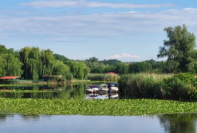 OCAZIE VANZARE TEREN CU DESCHIDERE LA LAC - 1