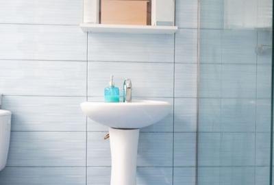 Apartament in casa, pozitionat intr-o zona centrala si linistita - 9