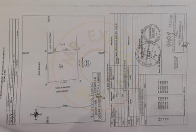 Teren intravilan pentru Casa de Vacanta - Mosoaia -Basangesti - 10