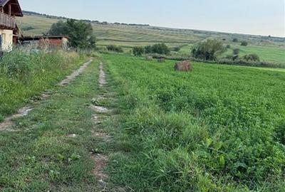 Vanzare teren extravilan zona Valea Fanatelor acces din zona Auchan Iris, Cluj-N - 6