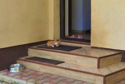 Vila Breaza 380Mp,Teren 1320Mp,aproape de Liceul Militar - 15