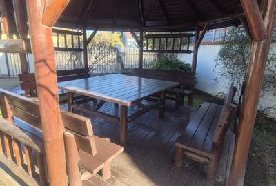 Vila individuala Iancu Nicolae - British School - 8