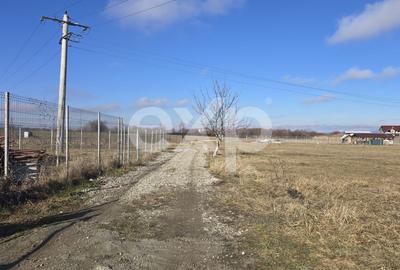 Teren 3.120 mp cu potențial de dezvoltare – Săcele | Posibilitate PUZ - 5