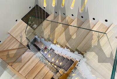 Vila superba complet restaurata pretabila pentru Ambasada sau Sediu Companie - 9