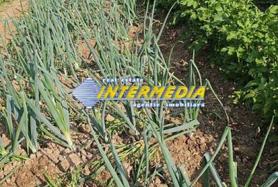 Teren intravilan 1000 mp in Ampoita cu apa si curent in fata - 1