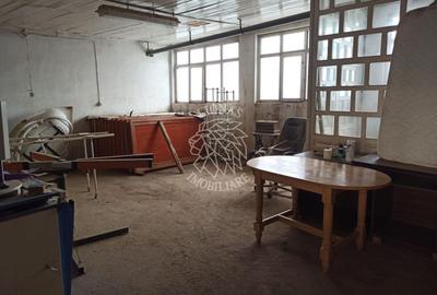 Complex de 3 hale 1545 mp-ideal prelucrare, service-Valea Ghinzii - 6
