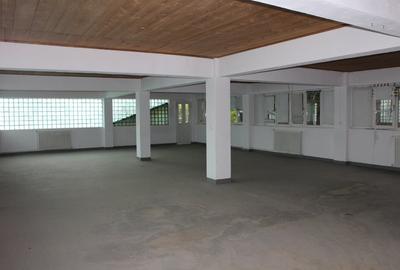 HALE SI SPATIU ADMINISTRATIV DE INCHIRIAT ZONA GARII SIBIU - 7