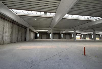 Vanzare depozit/spatiu industrial/hala Chitila - Rudeni, ILFOV - 12