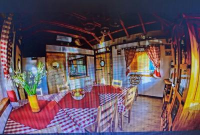 De vanzare Pensiunea Casa Delta,8 camere, situata pe Dunarea Veche, langa Lebada - 4