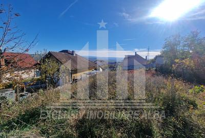 Teren Intravilan | 500 mp | 14 ml deschidere | Cetate - zona Schit - 3