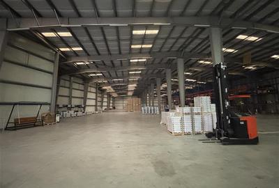 Inchiriere depozit/hala/spatiu industrial Chiajna - Ciorogarla A1 - KM13, ILFOV - 19