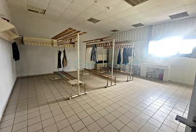 Hala de productie sau depozitare,de inchiriat,2 minute de Calea Borsului,Santion - 7