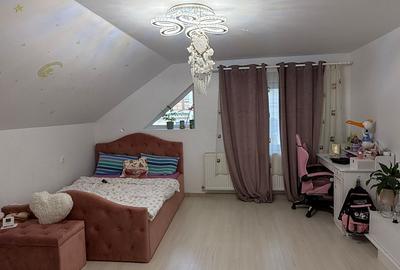 🏡 PROPRIETATE DE EXCEPȚIE – ZONĂ ULTRACENTRALĂ, BAIA MARE - 24
