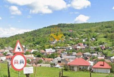 Teren de vanzare, intravilan, 16667 mp, Abrud, Jud. Alba - 1