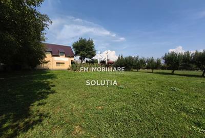 Complex industrial  cu teren 18,672 mp Târgu Lăpuș - 29