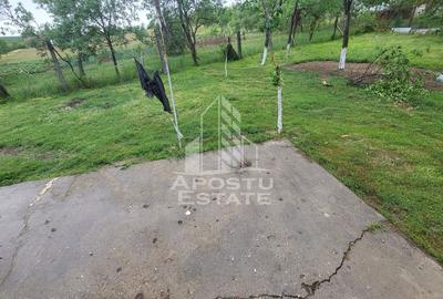 Casa individuala cu 6 camere,2 bai,teren de 1017 mp Pischia Central - 16