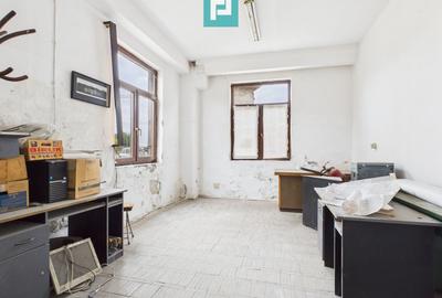 Spațiu de producție cu 4 camere în Periam - 1