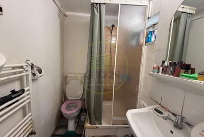 Casa plan parter, 400 mp teren, 51,86 mp utili, Brestei - 8